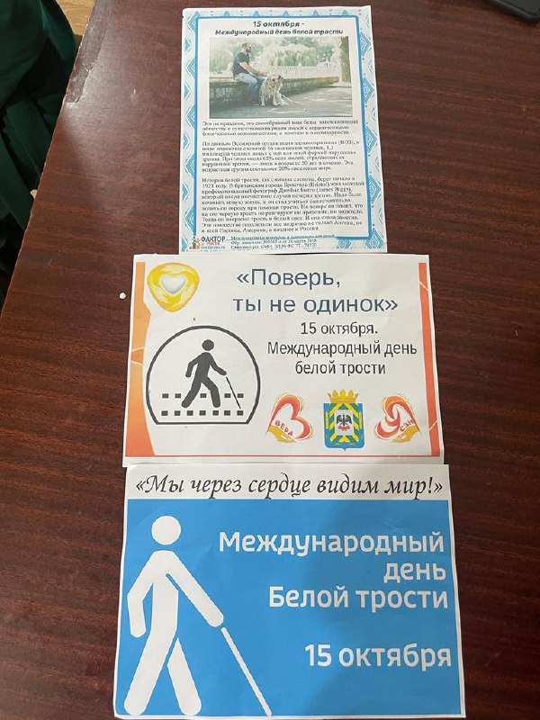 15 октября День белой трости .