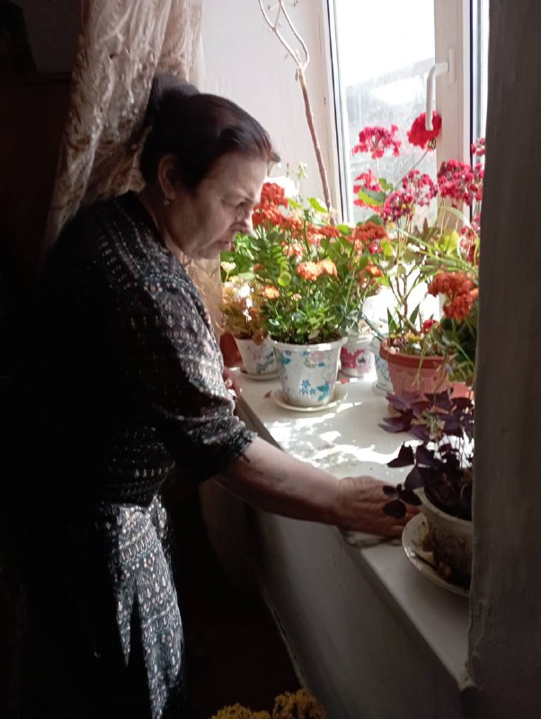 Будни специалиста по социальной работе. Проверка качества социального обслуживания на дому.