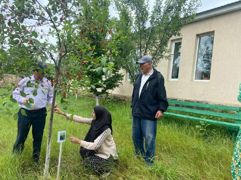 В отделении дневного пребывания граждан, по инициативе инструктора по трудовой терапии Халимбековой М.