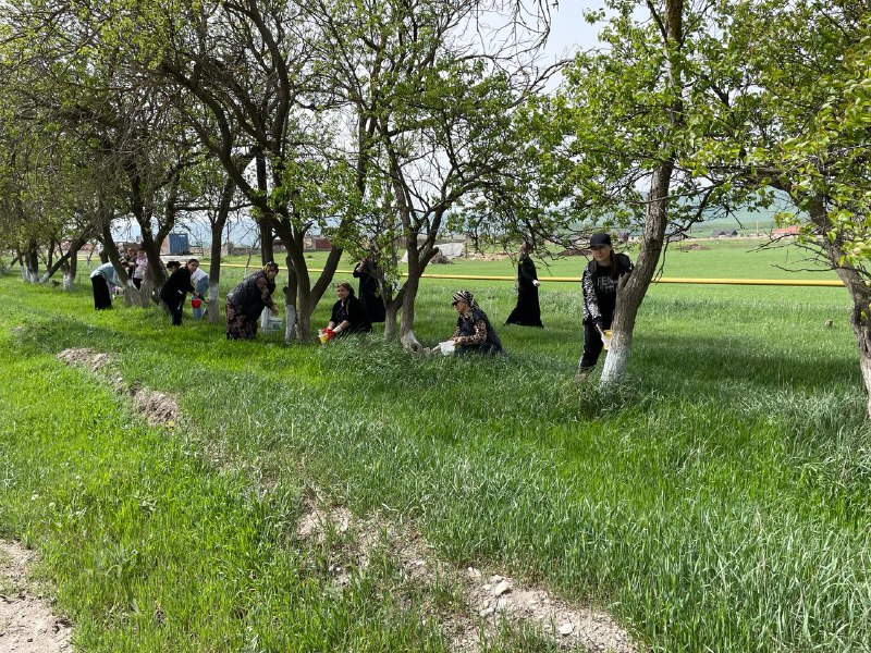 🌳🧹Сегодня дружный коллектив комплексного центра соцобслуживания Сергокалинского района принял активное участие в общереспубликанском субботнике!