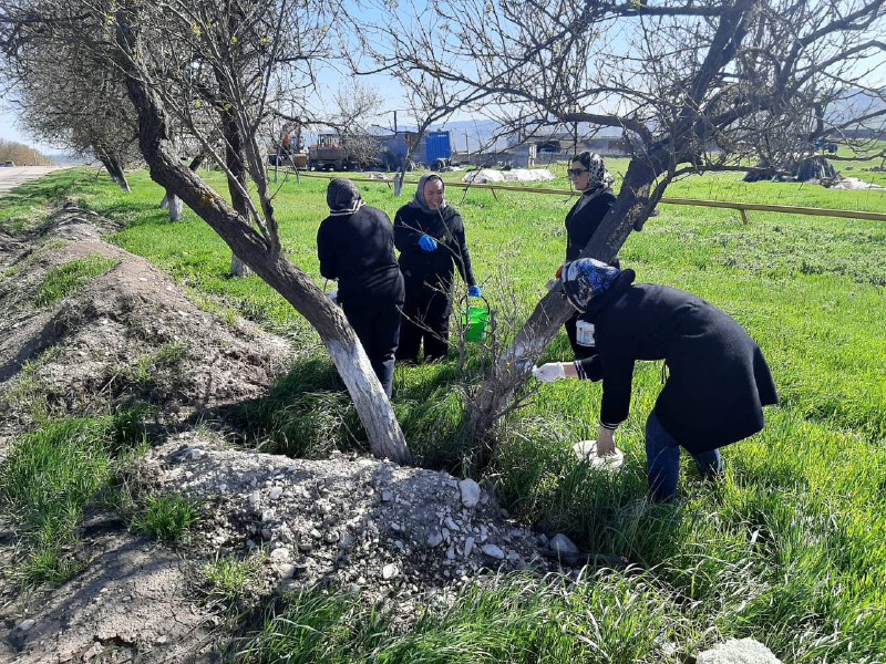 В рамках районного субботника комплексный центр социального обслуживания Сергокалинского района принял активное участие в мероприятии.